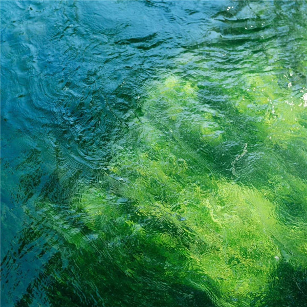 好看到爆的朋友圈背景图片头像