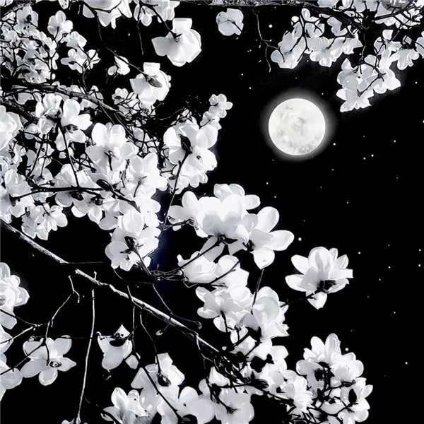 好看到爆的朋友圈背景图片头像