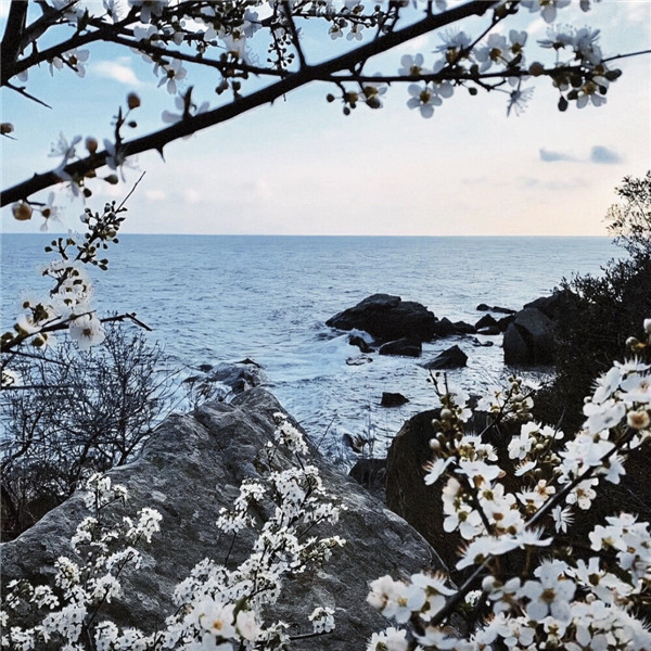 好看到爆的朋友圈背景图片头像
