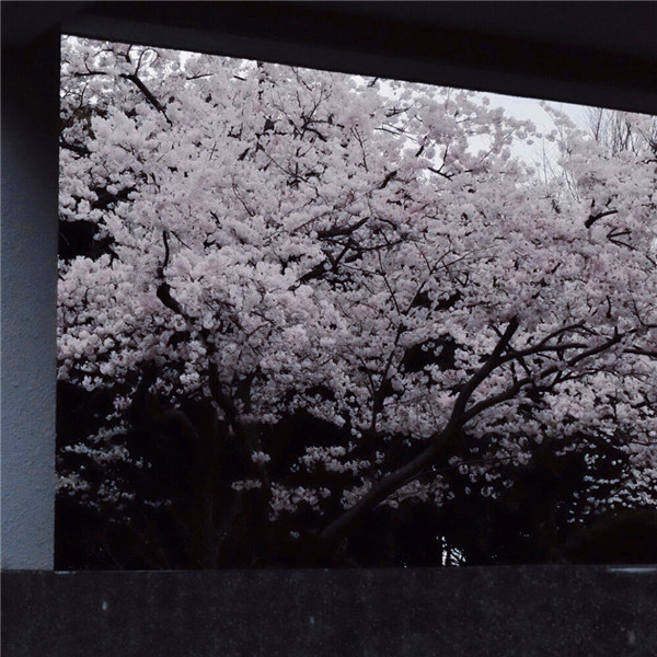 好看到爆的朋友圈背景图片头像