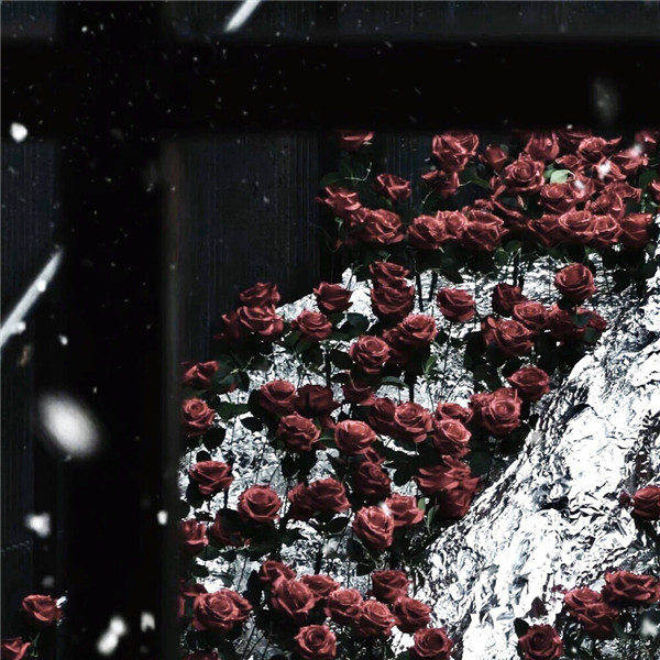 好看到爆的朋友圈背景图片头像