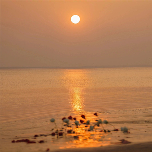 好看到爆的朋友圈背景图片头像