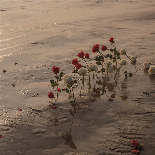 好看到爆的朋友圈背景图片头像