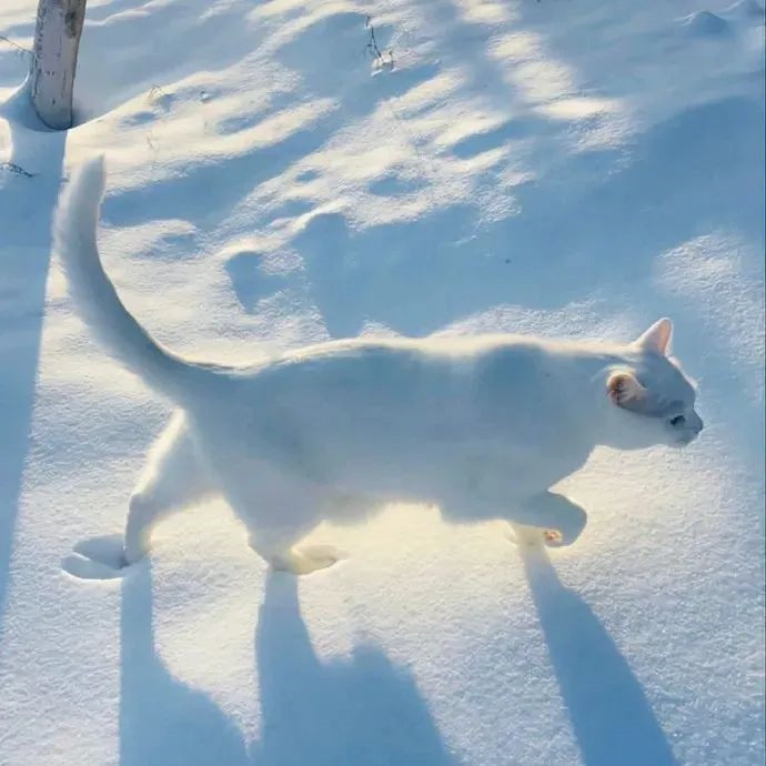 2026超火适合做朋友圈背景的图片