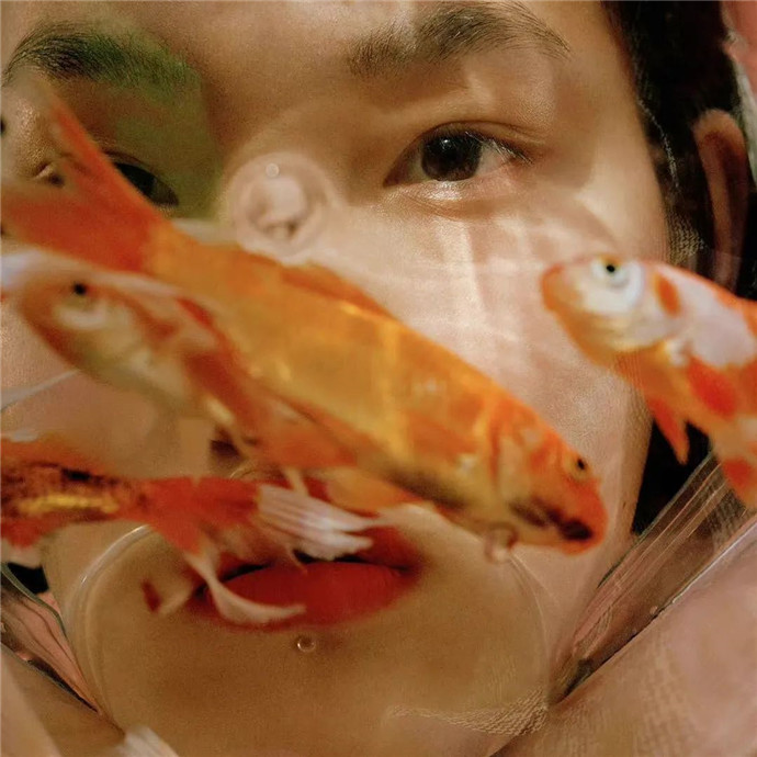 2026超火适合做朋友圈背景的图片