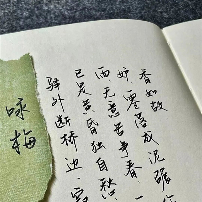 2026超火适合做朋友圈背景的图片