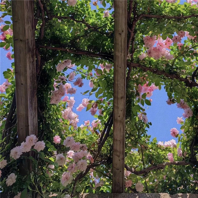 2026超火适合做朋友圈背景的图片