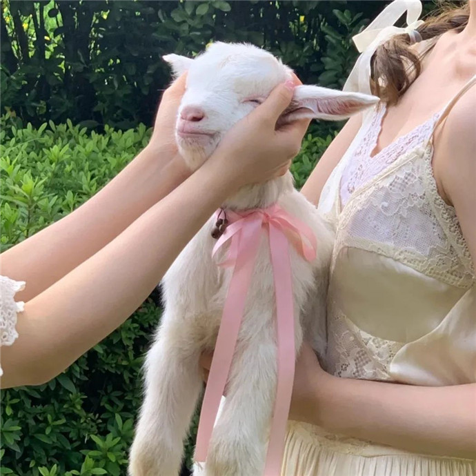 2026超火适合做朋友圈背景的图片