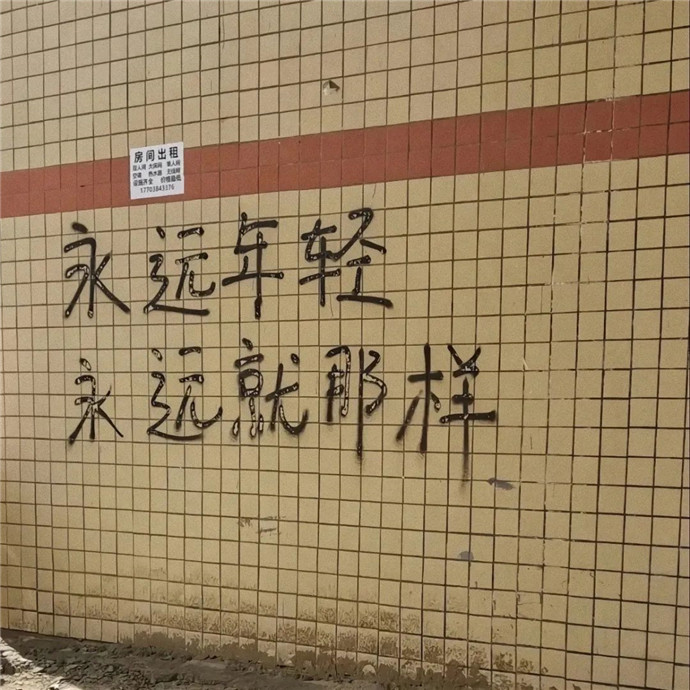 2026超火适合做朋友圈背景的图片