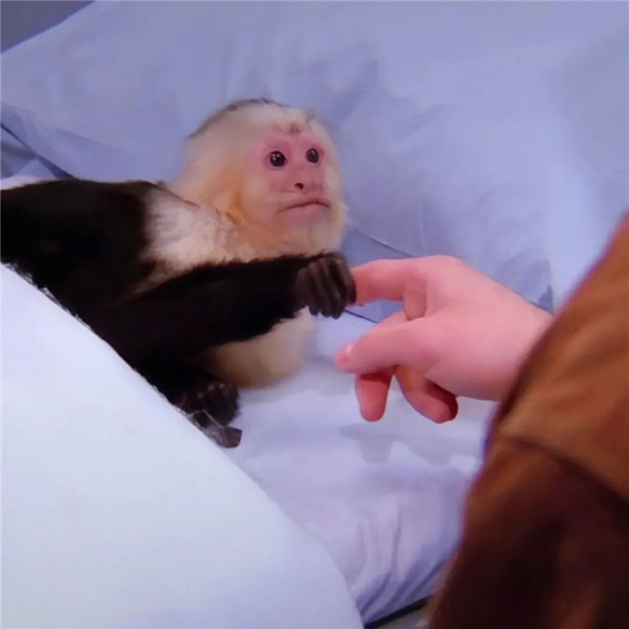 2026超火适合做朋友圈背景的图片