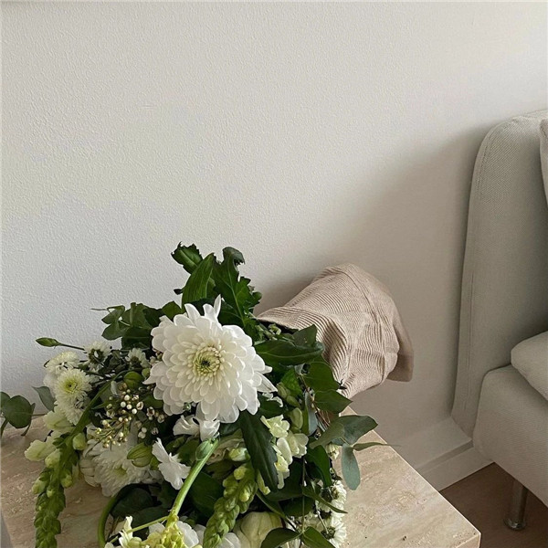 微信专用好看的背景墙图片