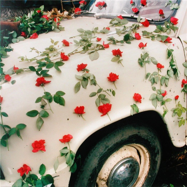 微信专用好看的背景墙图片