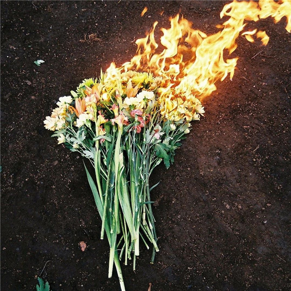 微信专用好看的背景墙图片