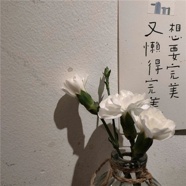 微信专用好看的背景墙图片