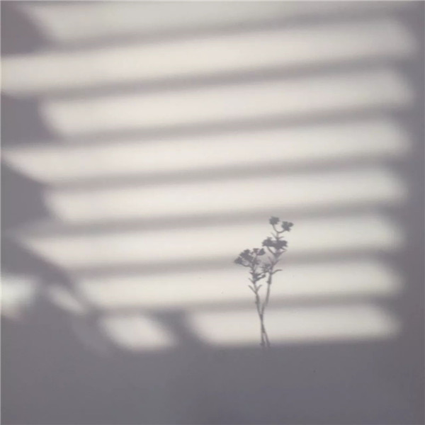 微信专用好看的背景墙图片