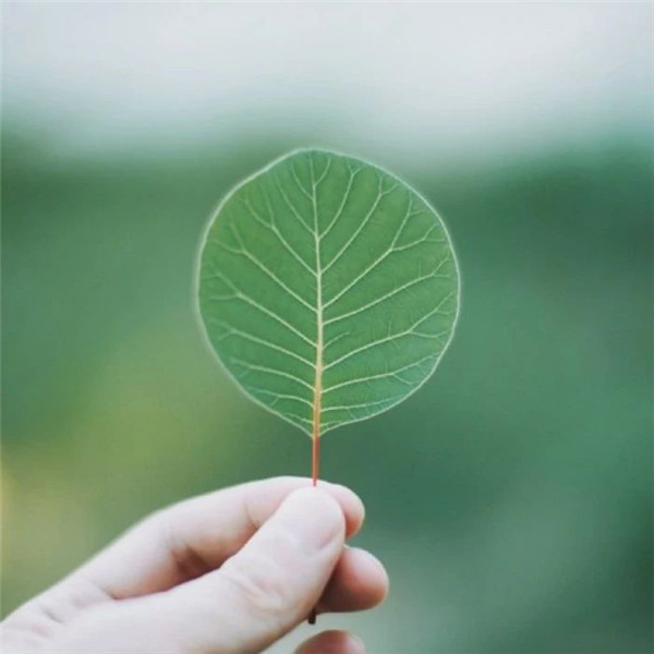 微信专用好看的背景墙图片