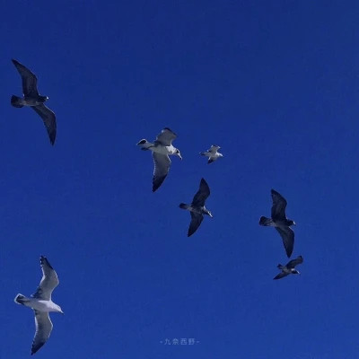 高级有意境的朋友圈背景图