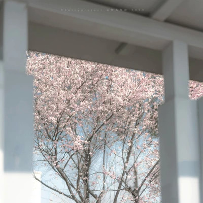 高级有意境的朋友圈背景图