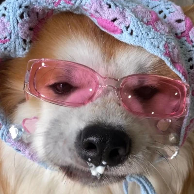超好玩的沙雕头像