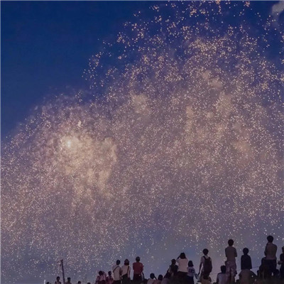 2025烟花头像