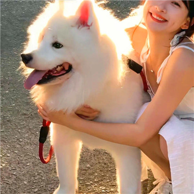 女生跟宠物的那种情头