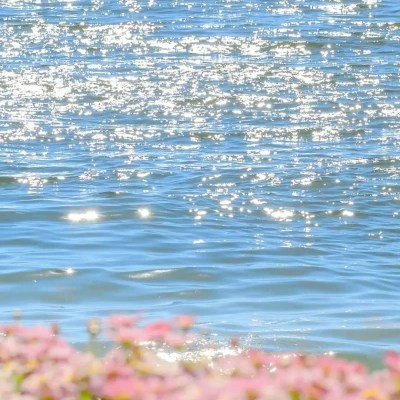 2025最新唯美清新简单大气风景头像