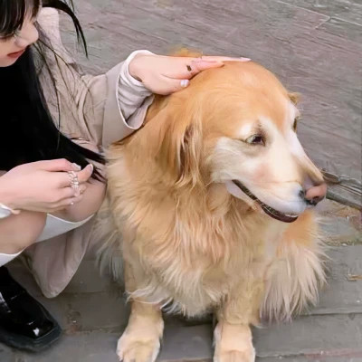 最美情侣高清免费头像图片
