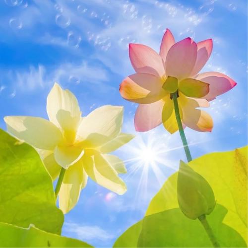 30一40岁女人微信头像简单大方