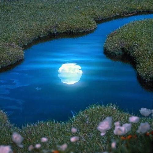 30一40岁女人微信头像简单大方