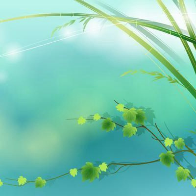 春天的微信头像