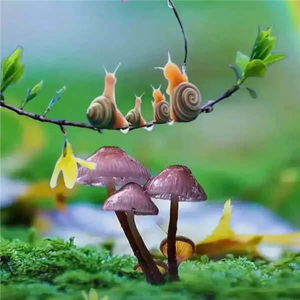 可爱治愈蜗牛头像图片