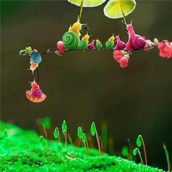 可爱治愈蜗牛头像图片