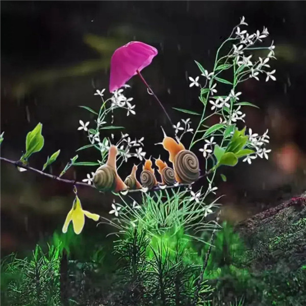 可爱治愈蜗牛头像图片