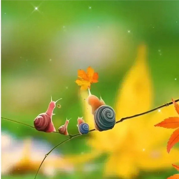 可爱治愈蜗牛头像图片