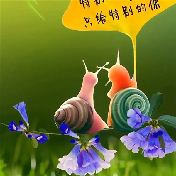 可爱治愈蜗牛头像图片