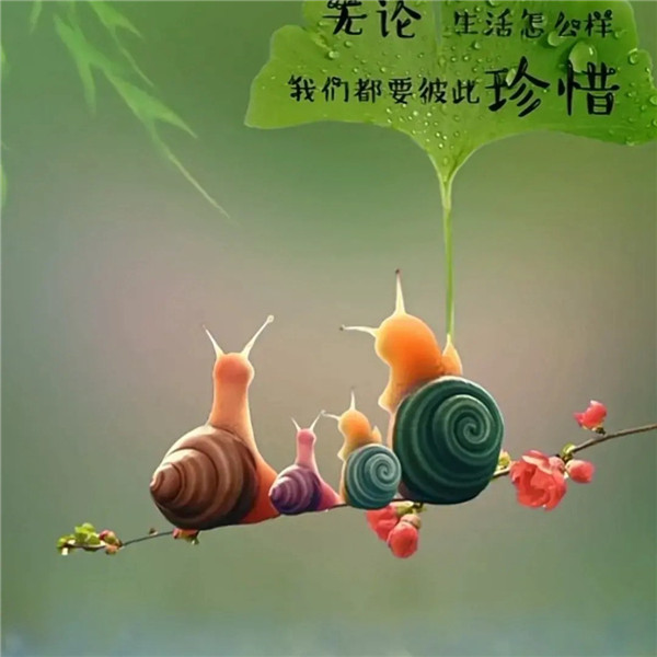 可爱治愈蜗牛头像图片