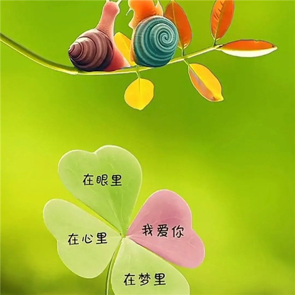 可爱治愈蜗牛头像图片