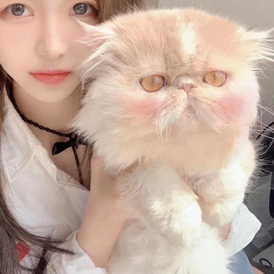 2025年最新款微信情侣头像真人