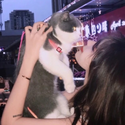 2025年最新款微信情侣头像真人