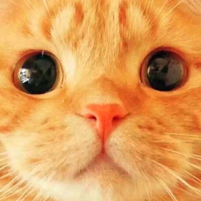 2025奇奇怪怪好看可爱情侣头像