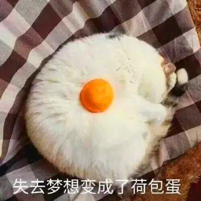 2025奇奇怪怪好看可爱情侣头像