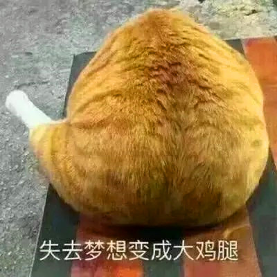 2025奇奇怪怪好看可爱情侣头像