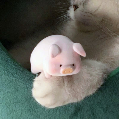 猫狗情侣头像一左一右可爱高清图片