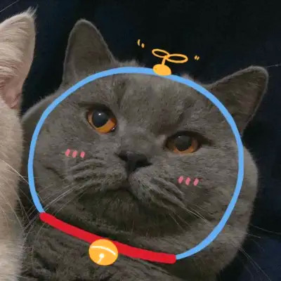 猫狗情侣头像一左一右可爱高清图片