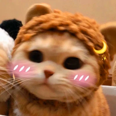 猫狗情侣头像一左一右可爱高清图片
