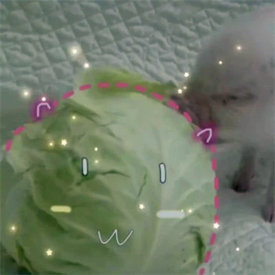 超可爱宠物情侣头像图片