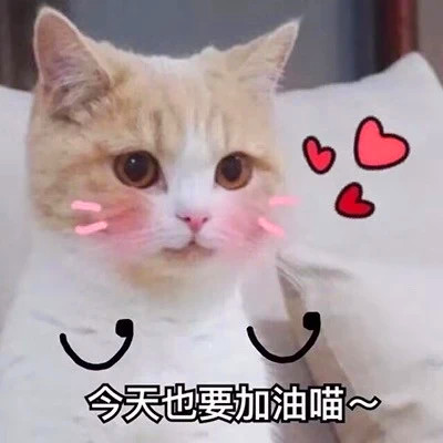 蠢萌动物情头一左一右可爱图片