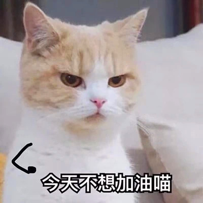 蠢萌动物情头一左一右可爱图片
