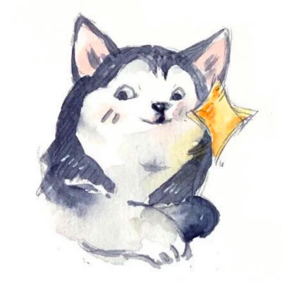宠物情头沙雕搞笑一对两张