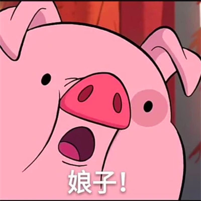 宠物情头沙雕搞笑一对两张